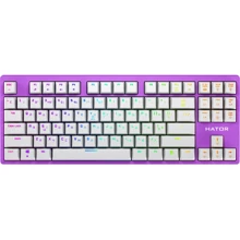 Клавиатура Hator Rockfall EVO TKL Optical Eng/Ukr/Rus, Lilac (HTK-633): Подключение проводное