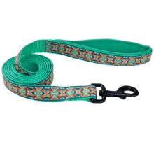 Повідець Coastal Ribbon Weave Leash для собак темно-бірюзовий з кісточками 2.5смх1.8 м (55195): Тип повідець
