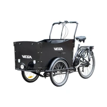 Электровелосипед VEGA Электро Riksha-1: Допустимая нагрузка, кг 150