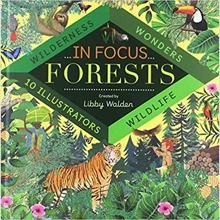 Libby Walden: In Focus. Forests: Виробник 360 Degrees