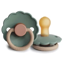 Пустышка Frigg Daisy Willow size 1 (0-6 m) ментол (000561): Возраст до 6 месяцев