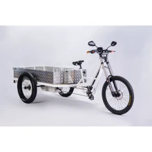 Электровелосипед Bayka Big Truck, motor 3000W 60Ah: Допустимая нагрузка, кг 450
