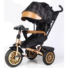 Велосипед Best Trike Perfetto 3-х колесный (8066 / 380-29): Тип Велосипед-коляска