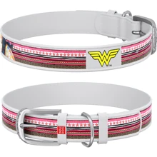 Ошейник WAUDOG Design с рисунком "Чудо-женщина", металлическая пряжка 25 мм 38-49 см белый (0025-1009-15): Производитель WAUDOG