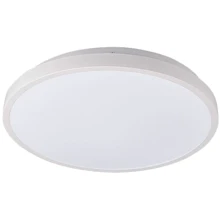 Светильник Nowodvorski 8207 Agnes LED 1x22W 3000K: Тип Потолочные светильники