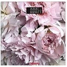 Весы напольные Ardesto SCB-965PEONIES: Тип Электронные