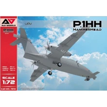 Разведывательный БПЛА A & A Models P.1HH HammerHead: Производитель A & A Models