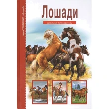 Сергій Афонькин: Коні: Виробник Тимошка