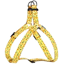 Шлея Hidog Flowers yellow 26-40см/1см (125\1019): Производитель HiDog