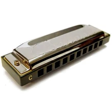 Губная гармошка Belcanto HRM-20 D (Ре): Тип Диатонические