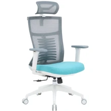 Кресло офисное OfficePro Balance (OC550-W-DG-BL): Тип для персонала