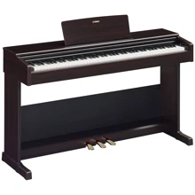 Цифровые пианино YAMAHA ARIUS YDP-105 (Rosewood): Тип Интерьерные