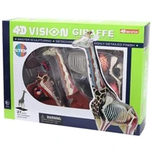 Об'ємна анатомічна модель 4D Master Жираф FM-622011: Виробник 4D Master