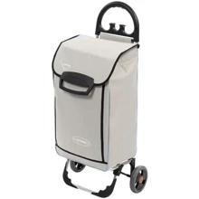 Сумка-тележка Aurora Roma 50 Grey (926861): Цвет серый