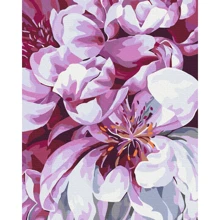 Картина по номерам Brushme Цвет в макро съемке 40x50 см (BS51712): Производитель Brushme