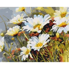 Картина по номерам Brushme Земляника в ромашках 40x50 см (BS52280): Производитель Brushme