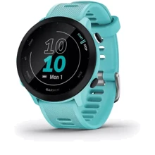 Смарт-часы Garmin Forerunner 55 Aqua (010-02562-12): Дисплей 1.04″ (26.3 мм)