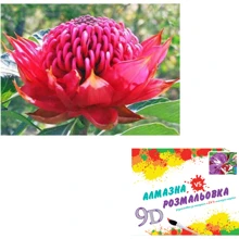 Картина 3-D ефект CY2302 2в1 Алмазна мозаїка+розмальовка, 40х50 см: Виробник 3D