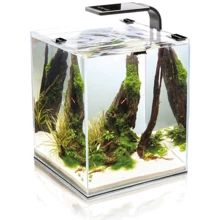 Аквариум Aquael Shrimp Set Day & Night для креветки черный 29х29х35 см 30 л (5905546326230): Производитель Aquael