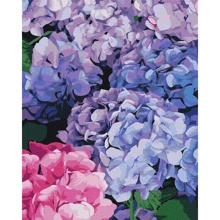 Картина по номерам Brushme Яркая гортензия 40x50 см (BS51667): Производитель Brushme
