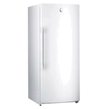 Морозильная камера Gorenje FN 65 SYW: Исполнение Отдельностоящий