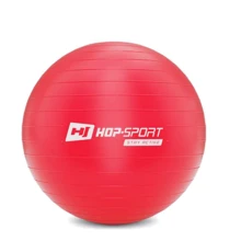 Мяч для фитнеса Hop-Sport HS-R055YB red 55 см: Диаметр, см 55