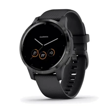 Смарт-часы Garmin Vivoactive 4S Slate Stainless Steel Bezel with Black Case and Silicone Band (010-02172-13): Производитель Garmin