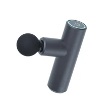 Массажер Yunmai Massage Gun Mini YMFG-M352: Производитель Yunmai