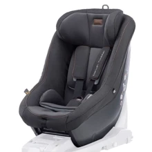 Автокресло Inglesina Darwin Toddler i-Size Mystic Black: Группа 0+/1