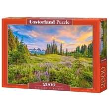Пазлы Castorland Утренние цветы 2000 элементов (C-200863): Производитель CASTORLAND