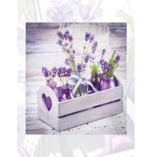 Альбом EVG 10x15x300 BKM46300 LAVENDER: Тип Фотоальбомы