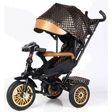 Велосипед Best Trike Perfetto 3-х колесный (8066 / 515-09): Тип Велосипед-коляска
