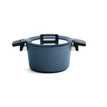 Кастрюля WOLL Concept Plus Induction 20х11.5 см 3 л (W120CPI): Тип Традиционная