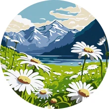 Картина за номерами Ідейка Ніжні ромашки ©art_selena_ua ø33 см (KHO-R1029): Виробник Идейка