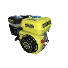 Бензиновый двигатель Свитязь C200G (6.5лс): Производитель Свитязь