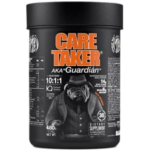 Аминокислота для спорта Zoomad Labs Caretaker BCAA 480 g / 30 servings / Silk Orange: Вкус Апельсин