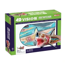 Об'ємна анатомічна модель 4D Master "Велика біла акула" (26111): Виробник 4D Master