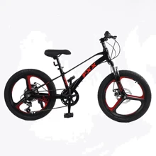 Детский спортивный велосипед Corso FХХ 20" дюймов (MG-20156): Тип 2х колесный велосипед