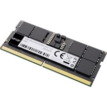 Lexar 16 GB SO-DIMM DDR5 4800 MHz (LD5DS016G-B4800GSST): Тип DDR5