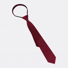 Галстук мужской Traum бордовый (8507-724): undefined undefined
