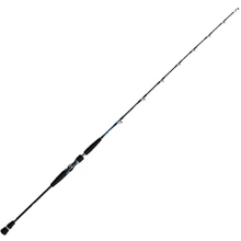 Спінінгові вудилище Daiwa SG BJ 711B-6 2.44m 80-600gr (01473257): Тип вудлища спиннинговое