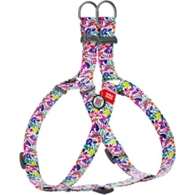Шлея WAUDOG Nylon с QR-паспортом, рисунок "Волшебные цветы" 15 мм 40-55 см разноцветный (4978): Производитель WAUDOG