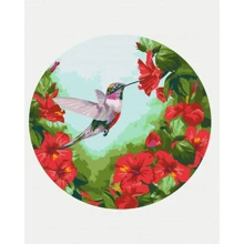 Картина по номерам Brushme Колибри ø30 см (RC00012M): Производитель Brushme