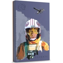 Внешний жесткий диск Seagate Luke Skywalker Special Edition FireCuda 2 TB (STKL2000412): Размеры, мм 122.5 x 80 x 14.5