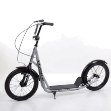Самокат iTrike SR 2-045-2-G (grey): Количество колес 2