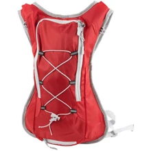 Женский рюкзак Valiria Fashion красный (5DETBU3622-1): Пол Женский