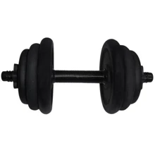 Гантель Newt 12.5 кг наборная стальная (NE-300-GP013): Вес гантели, кг 12.5