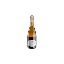 Игристое Larmandier-Bernier Terre de Vertus Premier Cru Brut Nature (0,75 л.) (BW48475): Объем, л 0.75