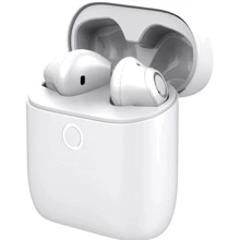 Наушники Panasonic RZ-B100WDGCW TWS White: Тип конструкции вкладыши