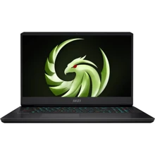 Ноутбук MSI Alpha 17 (C7VG-008US): Экран 17.3 " (2560x1440)